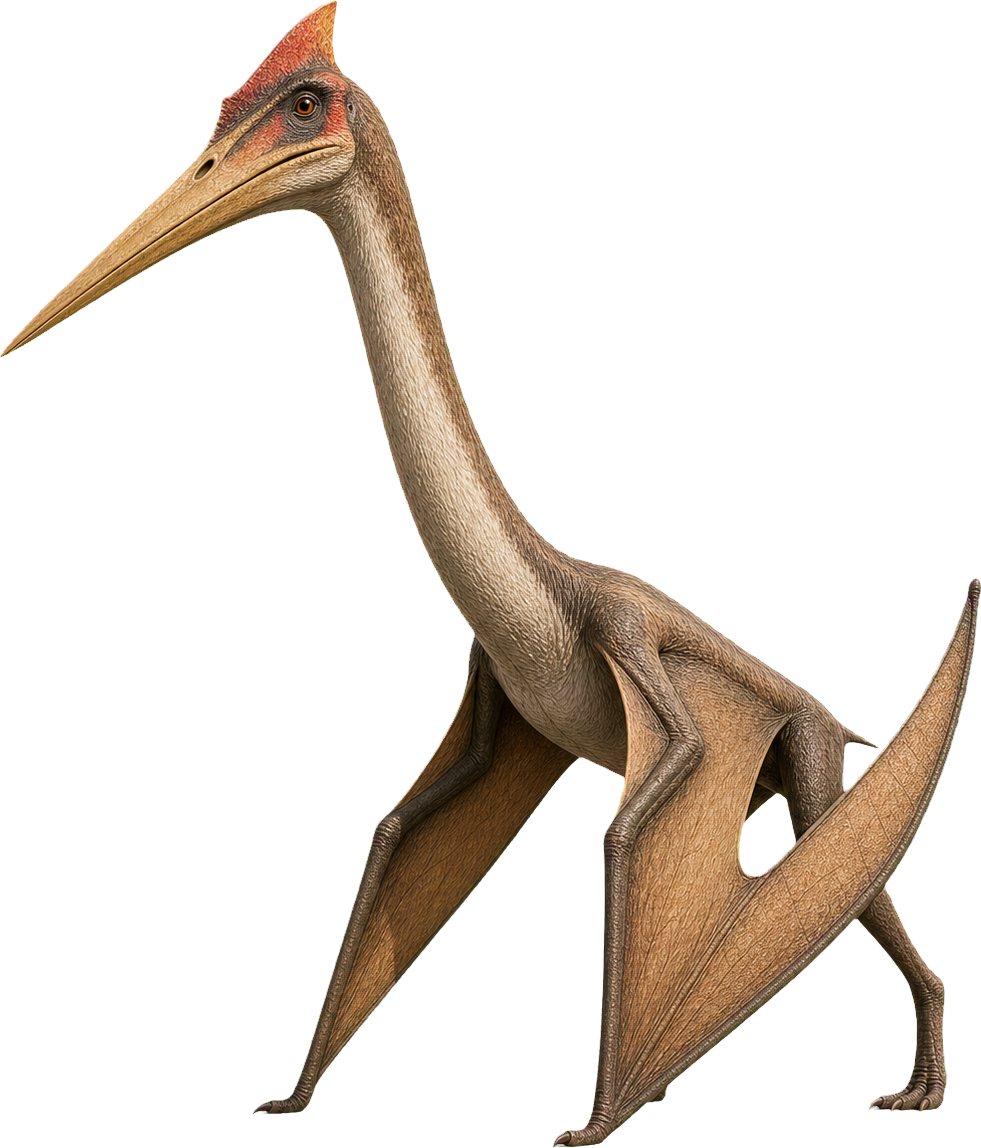 Very tall Quetzalcoatlus stands with folded wings beside a small child.